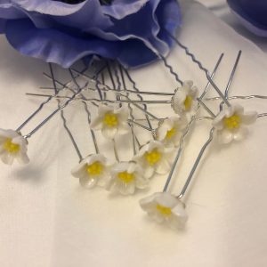 Valkoiset kukkapinnit keltaisella keskiosalla, WHITE