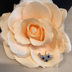 Korvakorut tummansinisillä korukivillä (DARK BLUE)